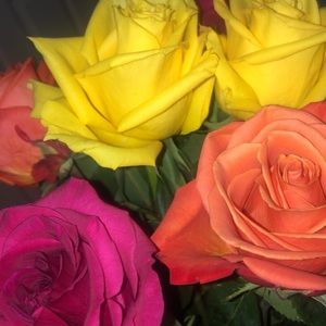 Meet your Posher, Danica